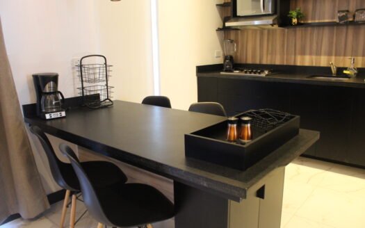 Renta de Departamento AV. Paseo de la Victoria